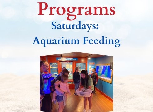 Aquarium Feeding - Free Summer Program at OCLSSM